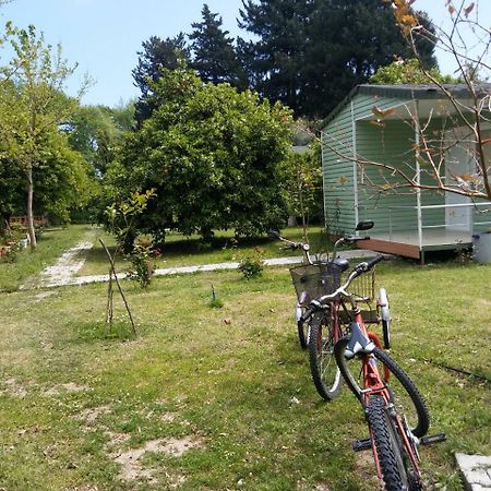 Sakli Bahce Pension Çıralı Exterior foto