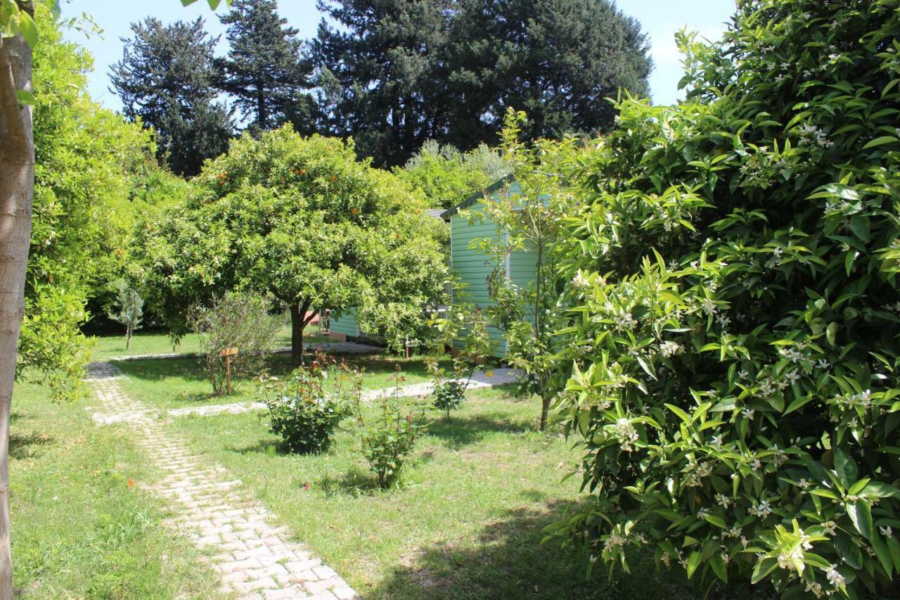 Sakli Bahce Pension Çıralı Exterior foto