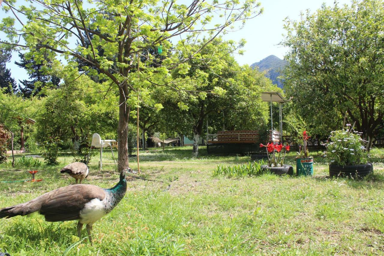 Sakli Bahce Pension Çıralı Exterior foto
